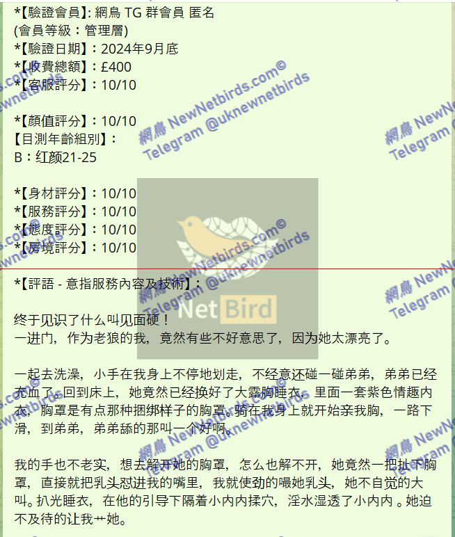 戰號 482 2.png